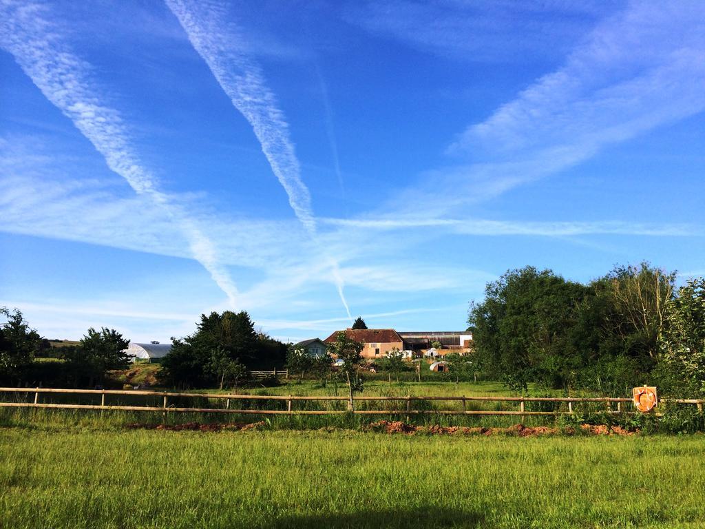 Huntstile Organic Farm Bed & Breakfast Bridgwater Bagian luar foto