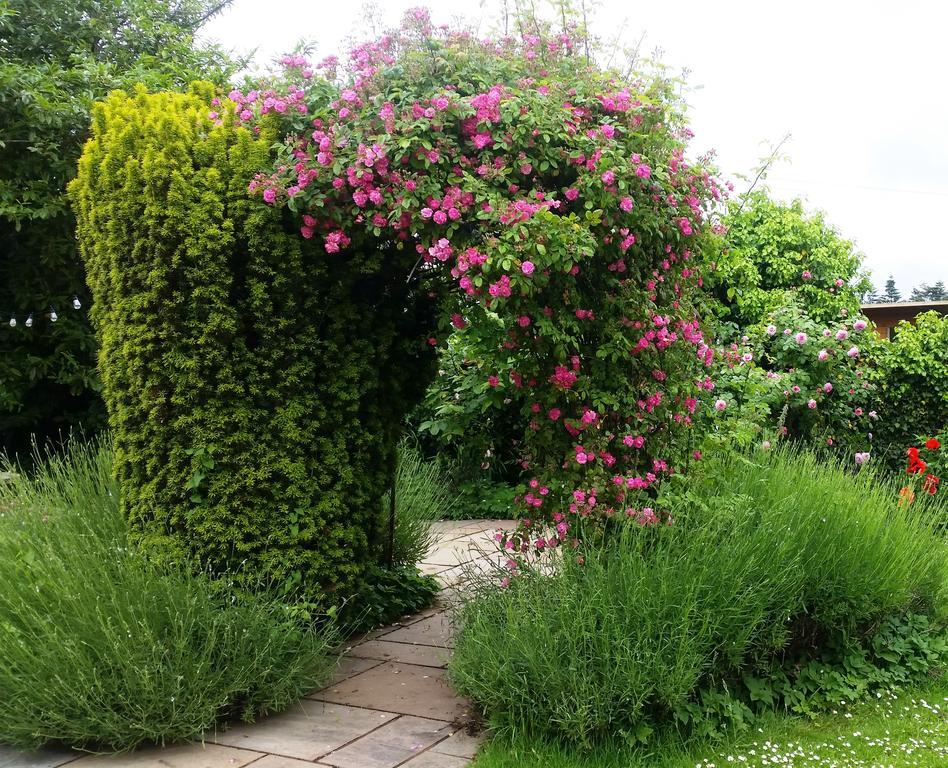 Huntstile Organic Farm Bed & Breakfast Bridgwater Bagian luar foto