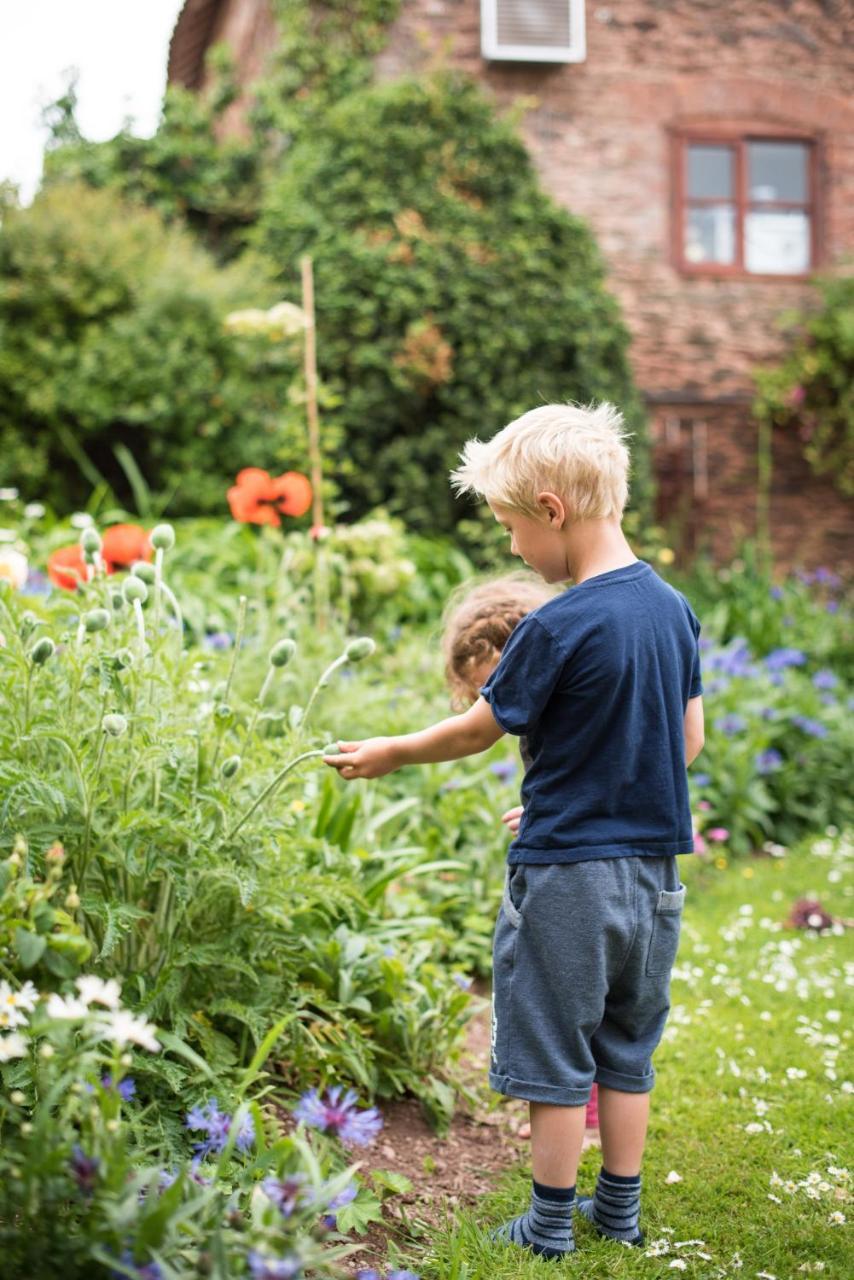 Huntstile Organic Farm Bed & Breakfast Bridgwater Bagian luar foto